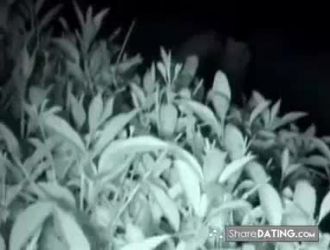 الجنس في البحر تحت الماء